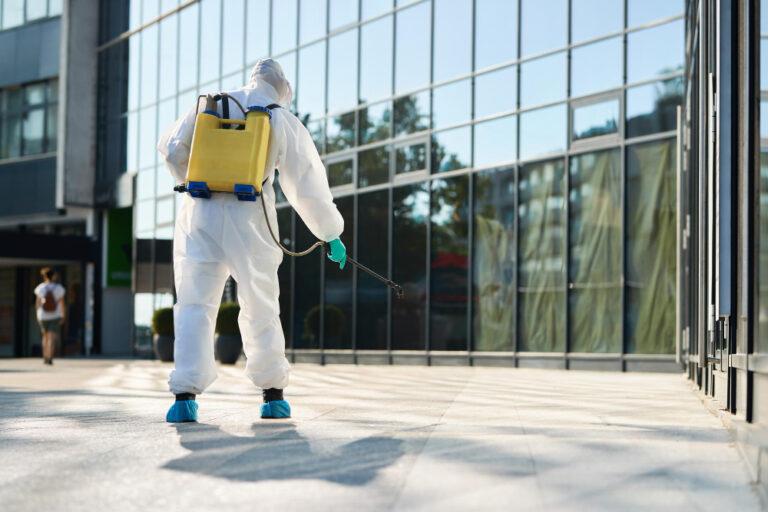 best pest control in Edmonton